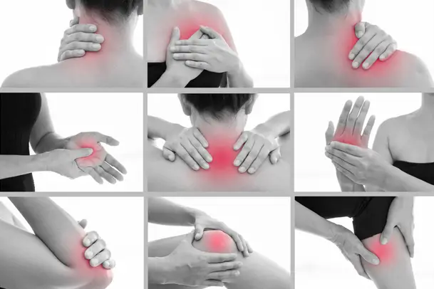 Musculoskeletal Pain major affected areas