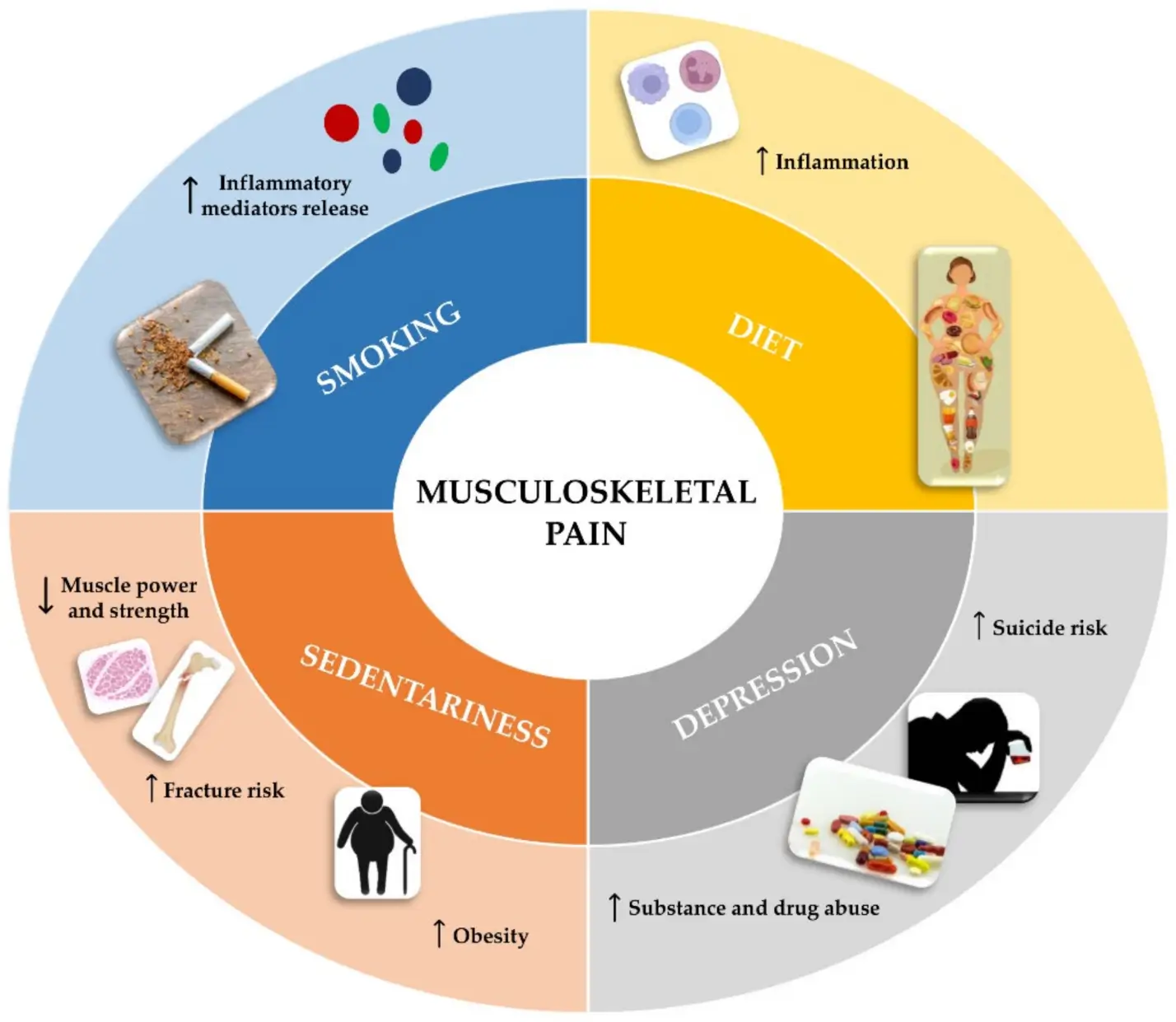 Musculoskeletal Pain potential reasons