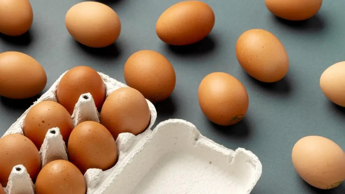 Leveraging LecithinRich Foods in Product Development