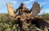 moose-hunting