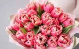 Valentine’s Day Flowers