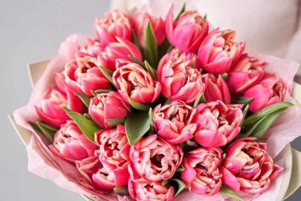Valentine’s Day Flowers