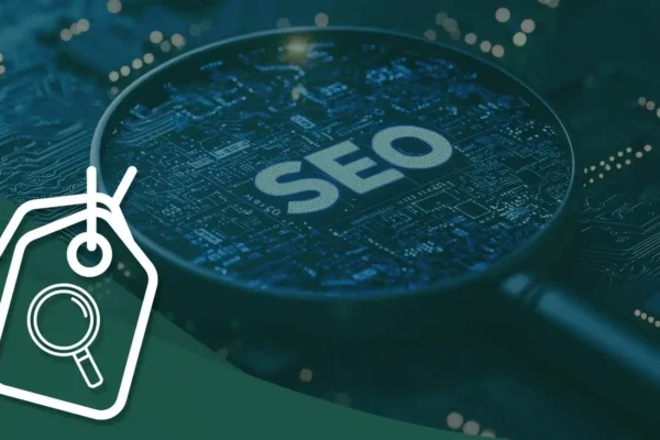 SEO reseller company in India