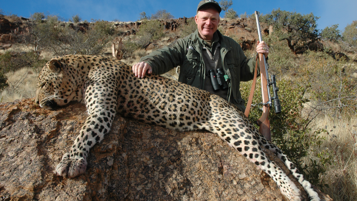 Leopard Hunts