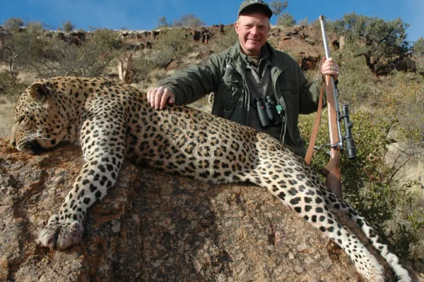 Leopard Hunts