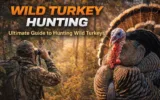 Wild Turkey Hunting