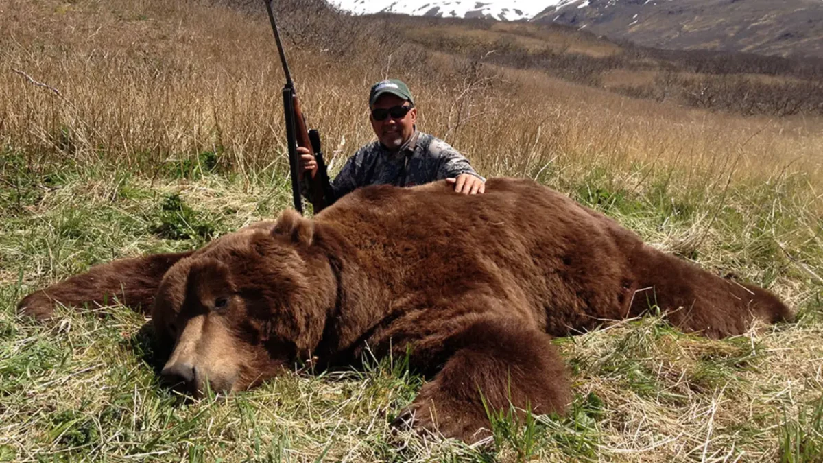 Alaska Brown Bear hunts - hunt-nation.com