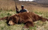 Alaska Brown Bear hunts - hunt-nation.com