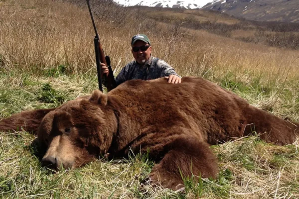 Alaska Brown Bear hunts - hunt-nation.com